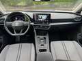 SEAT Leon Leon Sportstourer 2.0 TDI 150 CV DSG Business Argento - thumbnail 13