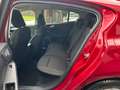 Ford Focus 1.5 EcoBlue 120 CV automatico 5p. Business Co-Pilo Rosso - thumbnail 9