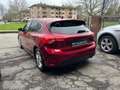 Ford Focus 1.5 EcoBlue 120 CV automatico 5p. Business Co-Pilo Rosso - thumbnail 2