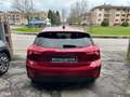 Ford Focus 1.5 EcoBlue 120 CV automatico 5p. Business Co-Pilo Rosso - thumbnail 4