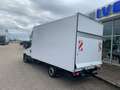 Iveco Daily Daily 35S16A8 Möbelkoffer/LBW - HI-Connect Weiß - thumbnail 2