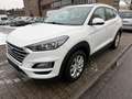 Hyundai TUCSON Trend 2WD Weiß - thumbnail 2