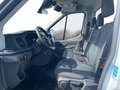 Ford Transit P350 L2 2.0 EcoBlue 130ch Trend CAISSE FRIGO + HAY - thumbnail 8