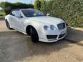 Bentley Continental GTC W12 Alb - thumbnail 15