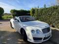 Bentley Continental GTC W12 Alb - thumbnail 1
