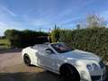 Bentley Continental GTC W12 Alb - thumbnail 3