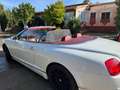 Bentley Continental GTC W12 Alb - thumbnail 5