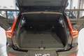 Volvo XC40 B3 Plus Black Edition Schiebedach*ACC*Totwinkel* Schwarz - thumbnail 6