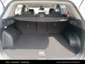 Kia Sportage /SILBER/1.6 TGDI/DCT7/2WD/150/MY Weiß - thumbnail 14