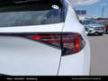 Kia Sportage /SILBER/1.6 TGDI/DCT7/2WD/150/MY Weiß - thumbnail 15