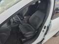 Ford Kuga 2,5 Duratec PHEV ST-Line X Aut. Weiß - thumbnail 11