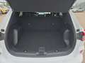 Ford Kuga 2,5 Duratec PHEV ST-Line X Aut. Weiß - thumbnail 9