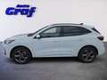 Ford Kuga 2,5 Duratec PHEV ST-Line X Aut. Weiß - thumbnail 6