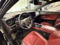 Lexus NX 350h NX 350 h E-Four EXECUTIVE LINE Schwarz - thumbnail 14