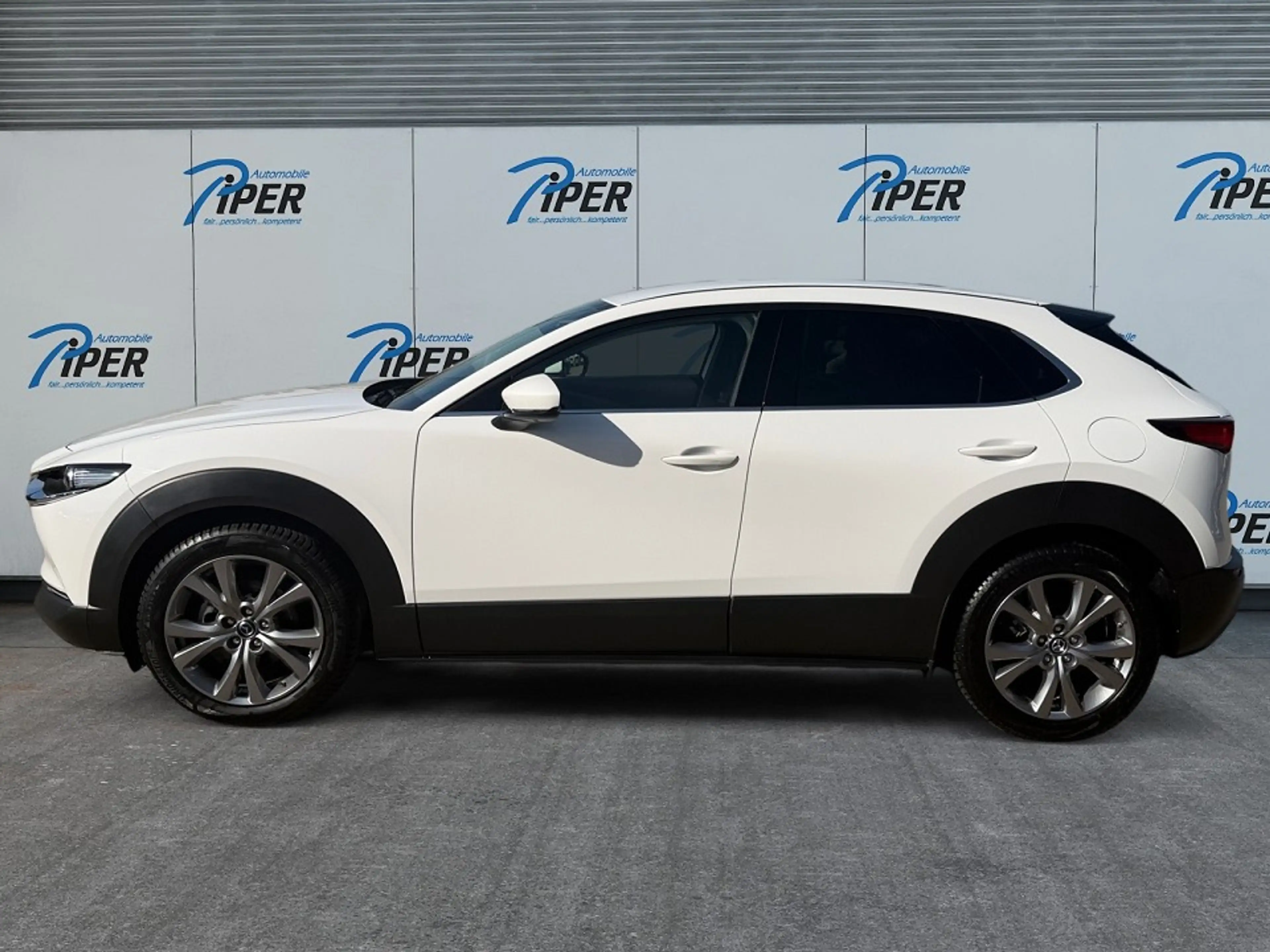 Mazda CX-30 2.5L e-SKYACTIV G 140ps Exclusive-Line 360° PDC SH — photo 2