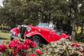 MG TD Rot - thumbnail 49