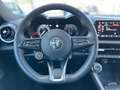 Alfa Romeo Tonale Tonale 1.6 diesel 130 CV TCT6 Sprint Blu/Azzurro - thumbnail 14