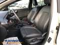 Ford Puma 1.0 EcoBoost MHEV ST-Line X LED ACC NAVI AHK Weiß - thumbnail 9
