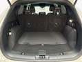 Ford Kuga 1.5 EcoBoost ST-LINE X Bianco - thumbnail 6
