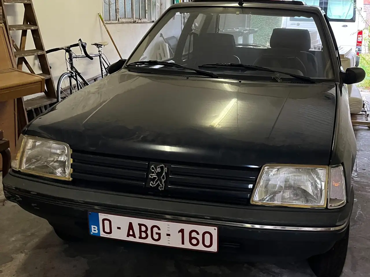 Peugeot 205 Dixie 3D, foto 2