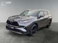 Toyota Highlander 2.5 Hybrid Luxury *360*JBL*LHZ*HUD* Сірий - thumbnail 2