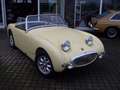 Austin-Healey Sonstige Gelb - thumbnail 3