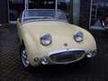 Austin-Healey Sonstige Gelb - thumbnail 8