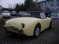 Austin-Healey Sonstige Gelb - thumbnail 9