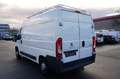 Peugeot Boxer 2.2 HDi *1.Hand*Einparkh*Anhängerk* Weiß - thumbnail 12