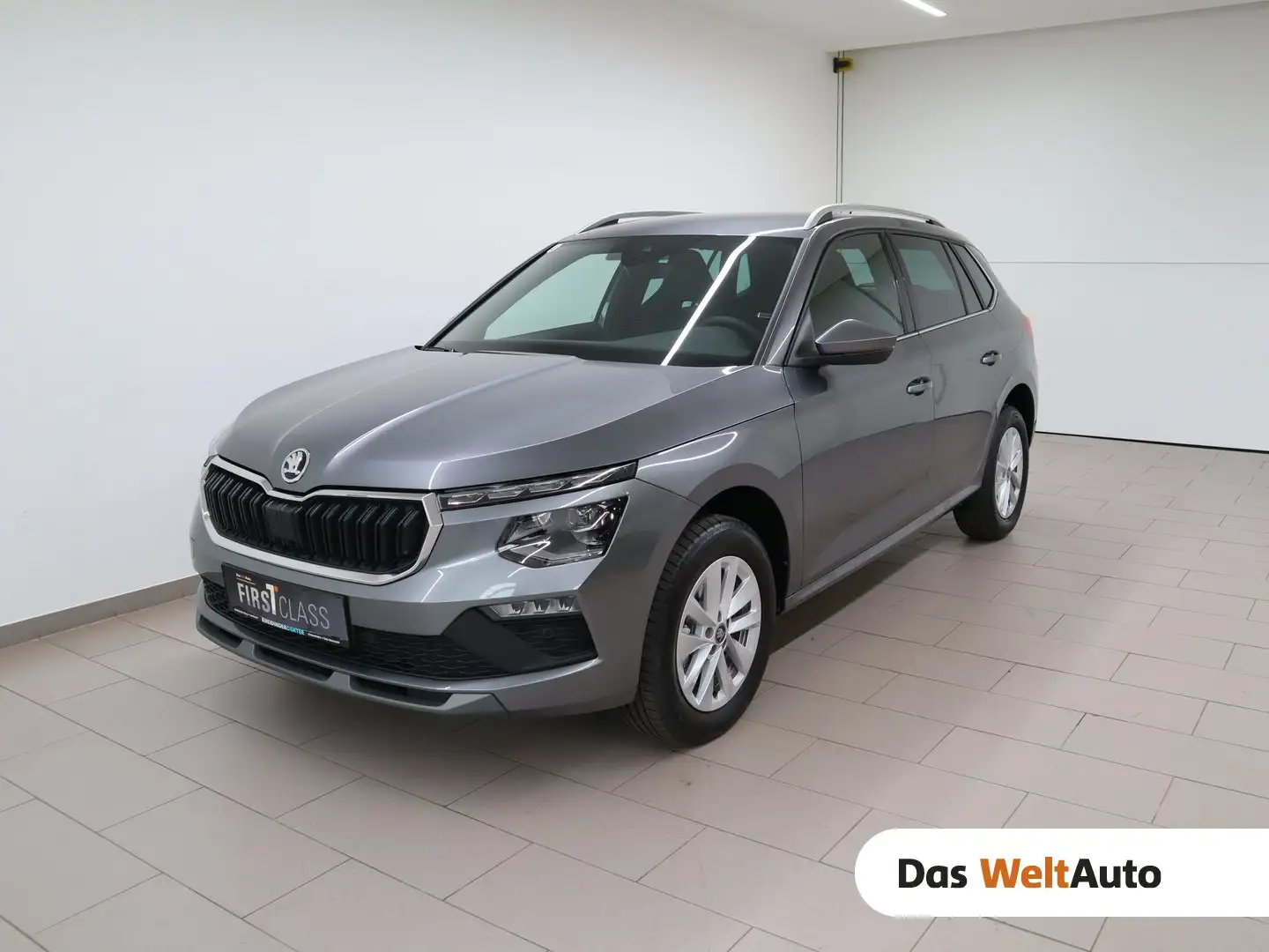 Skoda Kamiq Selection TSI DSG Grau - 1