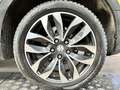 Suzuki SX4 S-Cross 1.6 Exclusive Panodak Trekhaak Vert - thumbnail 14