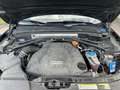 Audi Q5 Q5 3.0 TDI (clean diesel) quattro S tronic Schwarz - thumbnail 18