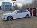Audi A4 Avant 40 TDI quattro 2x S line Matrix, Pano, Stand Blanco - thumbnail 2