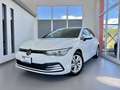 Volkswagen Golf VOLKSWAGEN GOLF 2.0 TDI 150CV DSG LIFE - 2020 Blanco - thumbnail 1