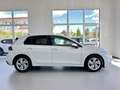 Volkswagen Golf VOLKSWAGEN GOLF 2.0 TDI 150CV DSG LIFE - 2020 Blanco - thumbnail 6