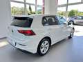 Volkswagen Golf VOLKSWAGEN GOLF 2.0 TDI 150CV DSG LIFE - 2020 Blanco - thumbnail 8
