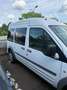 Ford Transit Connect Transit Connect TDCi Tourneo (Kurz) GLX - thumbnail 3