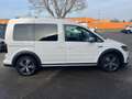 Volkswagen Caddy PKW Alltrack BMT/AUTOMATIK/ALU Weiß - thumbnail 4