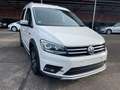 Volkswagen Caddy PKW Alltrack BMT/AUTOMATIK/ALU Weiß - thumbnail 3