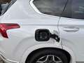 Hyundai SANTA FE 1.6 Plugin-Hybrid 4WD Signature Weiß - thumbnail 21