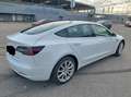 Tesla Model 3 Model 3 Long Range 75kWh Weiß - thumbnail 3