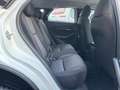 Mazda CX-30 CX-30 2.0 m-hybrid Prime Line 2wd 122cv 6at Bianco - thumbnail 14