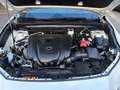 Mazda CX-30 CX-30 2.0 m-hybrid Prime Line 2wd 122cv 6at Bianco - thumbnail 11