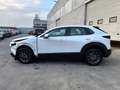 Mazda CX-30 CX-30 2.0 m-hybrid Prime Line 2wd 122cv 6at Bianco - thumbnail 8