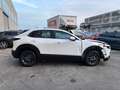 Mazda CX-30 CX-30 2.0 m-hybrid Prime Line 2wd 122cv 6at Bianco - thumbnail 7