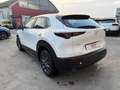 Mazda CX-30 CX-30 2.0 m-hybrid Prime Line 2wd 122cv 6at Bianco - thumbnail 6