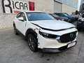 Mazda CX-30 CX-30 2.0 m-hybrid Prime Line 2wd 122cv 6at Bianco - thumbnail 1