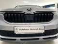 Skoda Kamiq Selection 1.0 TSI DSG Navi LED Sperrdiff. ACC Silber - thumbnail 13