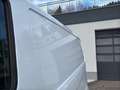 Ford Transit Custom Kasten 2,0 TDCi L1H1 280 Trend Fahrspur-Assiste... Blanco - thumbnail 39