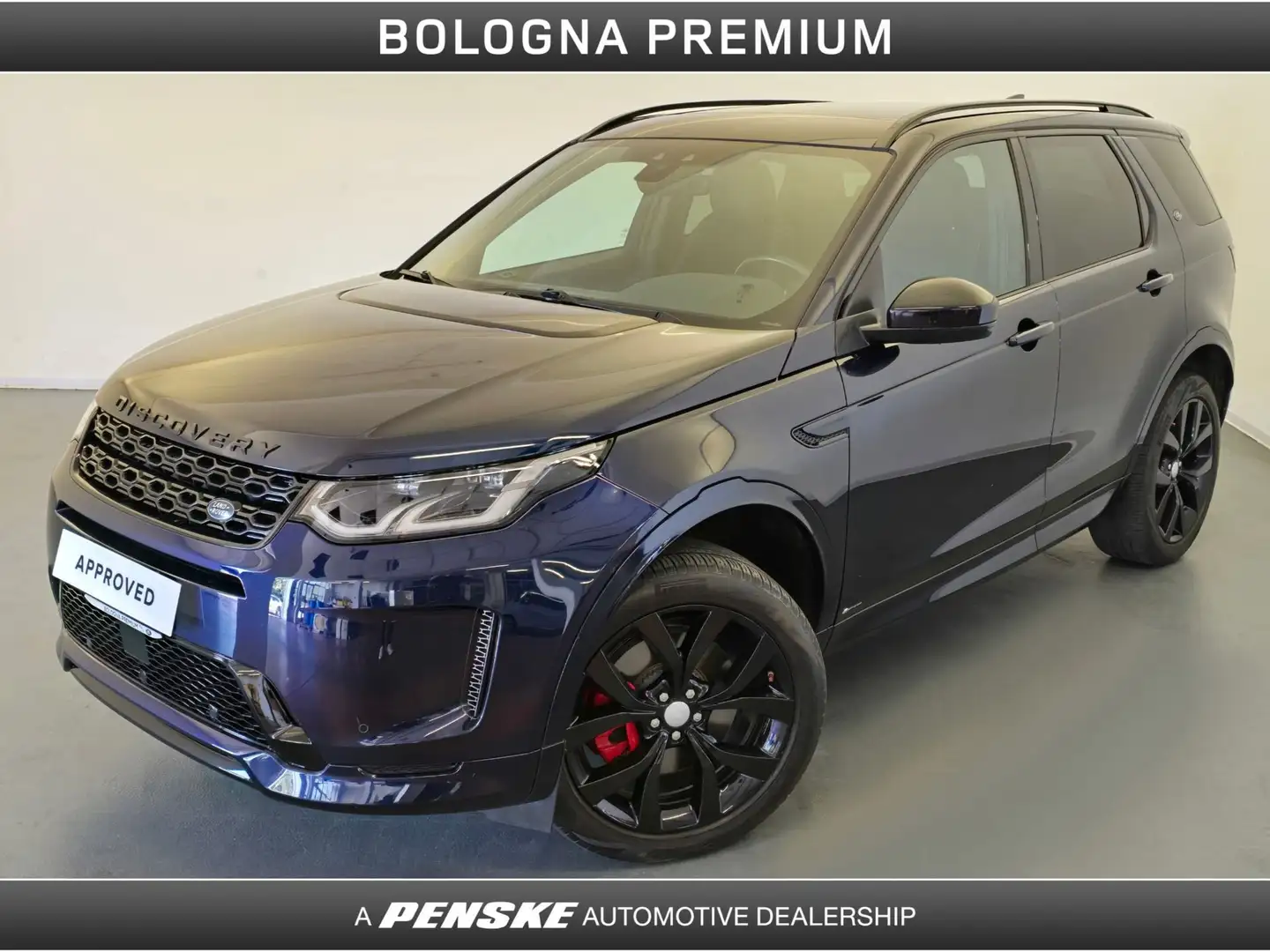 Land Rover Discovery Sport Discovery Sport 2.0D I4-L.Flw 150 CV AWD Auto R-D Blau - 1